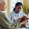 The Importance of Qualified and Experienced Animal Care Staff in Long Beach, CA