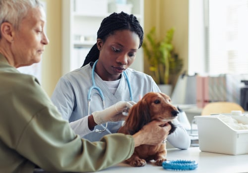 The Importance of Qualified and Experienced Animal Care Staff in Long Beach, CA